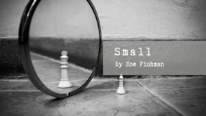 Small by Zoe Fishman